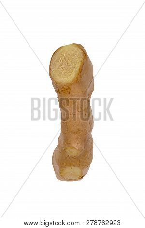 Fresh Ginger, Image Isolate On White Background, Herb Medical Concept. Fresh Vegetable