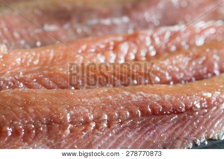 Anchois Fisch Fillet In Oil Closeup Macro