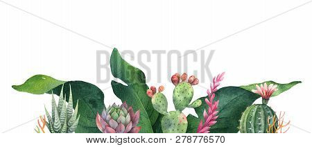 Watercolor Banner Tropical Leaves And Cacti Isolated On White Background.