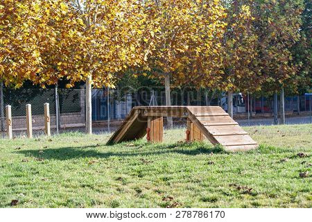 Gymnastics Dogs Obstacle Agility Climb Happy Exercise