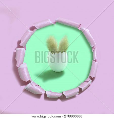 Easter Bunny In Egg. Eggshell With Fluffy Ears Of Easter Bunny. Green Background Under Tattered Pink