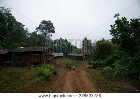 The Small Villages In The Countryside. Omkoi,chiang Mai Province, Thailand