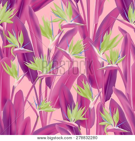 Strelitzia Reginae Tropical Flower Vector Seamless Pattern. Jungle Plant Paradise Tropical Summer Fa