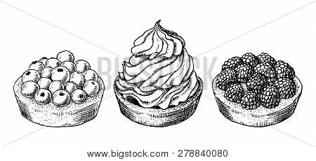 Set Of Delicious Hand Drawn Creamy Biscuit And Tarts With Berries. Engraving Style Pen Pencil Painti