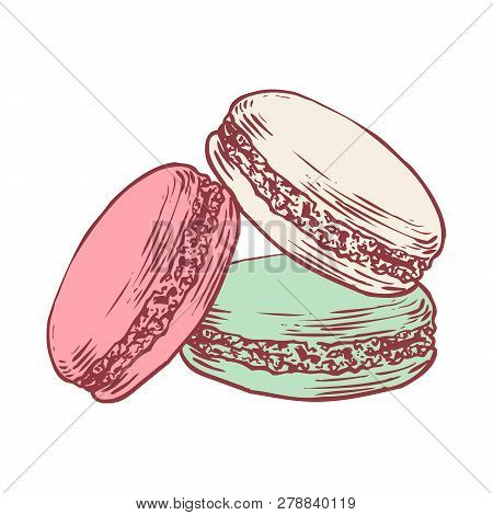 Delicious Hand Drawn French Macarons. Engraving Style Pen Pencil Painting Retro Vintage Vector Linea