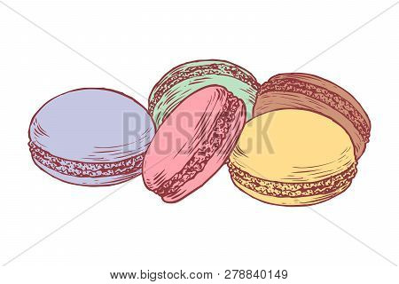 Delicious Hand Drawn French Macarons. Engraving Style Pen Pencil Painting Retro Vintage Vector Linea