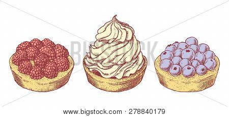 Set Of Delicious Hand Drawn Creamy Biscuit And Tarts With Berries. Engraving Style Pen Pencil Painti