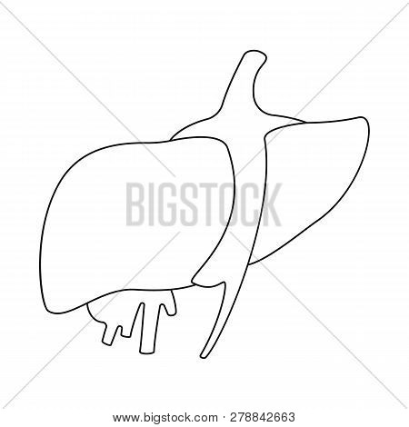 Isolated Object Of Anatomy And Organ Icon. Set Of Anatomy And Medical Vector Icon For Stock.