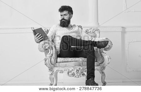 Man With Beard And Mustache Sits On Armchair And Reading, White Wall Background. Connoisseur Of Lite