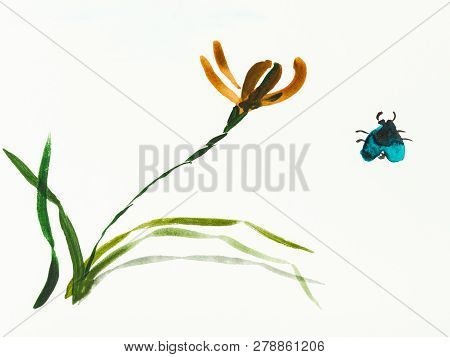 Training Drawing In Sumi-e (suibokuga) Style With Watercolor Paints - Bug And Iris Flower Are Hand D