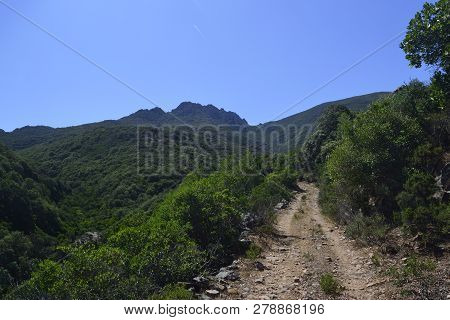 View Of Monte Lattias From Siliqua Path