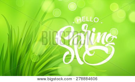 Frash Spring Green Grass Background. Vector Illustration Eps10
