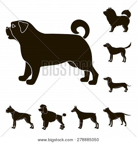 Vector Design Of Cute And Puppy Icon. Set Of Cute And Animal Stock Symbol For Web.