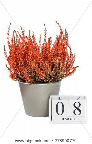 Flowers Of Orange Calluna Vulgaris With Cube Calendar On White Background, Isolated, Copy Space For 