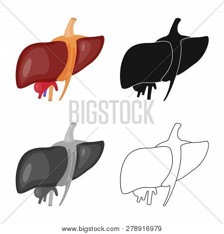 Vector Illustration Of Biology And Scientific Icon. Set Of Biology And Laboratory Stock Vector Illus