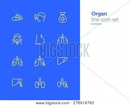 Organ Line Icon Set. Set Of Line Icons On White Background. Healthcare Concept. Stomach, Gemma, Live