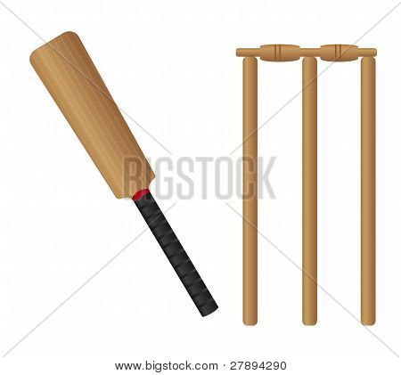 cricket set