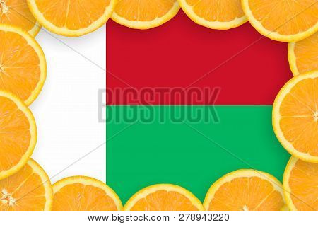 Madagascar Flag  In Fresh Citrus Fruit Slices Frame