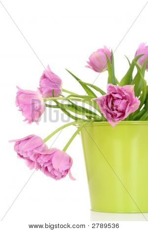 Temps de printemps !