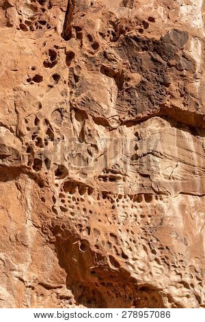 Tafoni (honeycomb) Features In Fiery Furnace In Arches National Park, Utah