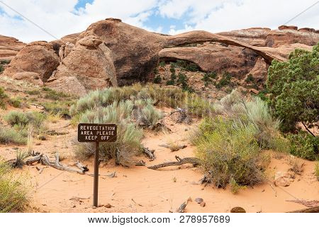 Revegetation Sign With Landscape Arch In The Background Off Devils Garden Trail In Arches National P