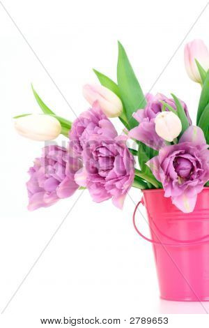 Temps de printemps !