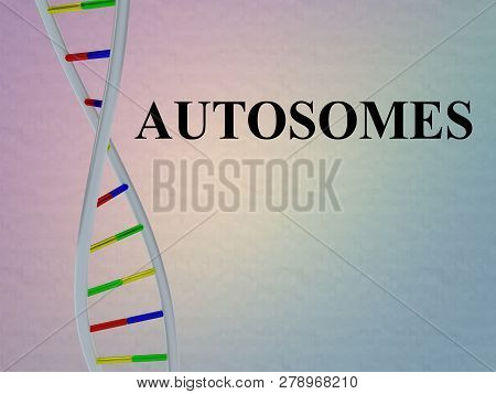 3d Illustration Of Autosomes Script With Dna Double Helix , Isolated On Colored Pattern.