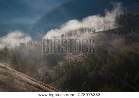 foggy summer landscape in the mountains, Salciua, Romania