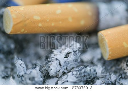 Macro Photo Of The Cigarette Butts Background. Royalty High-quality Stock Closeup Photo Image Of Dir