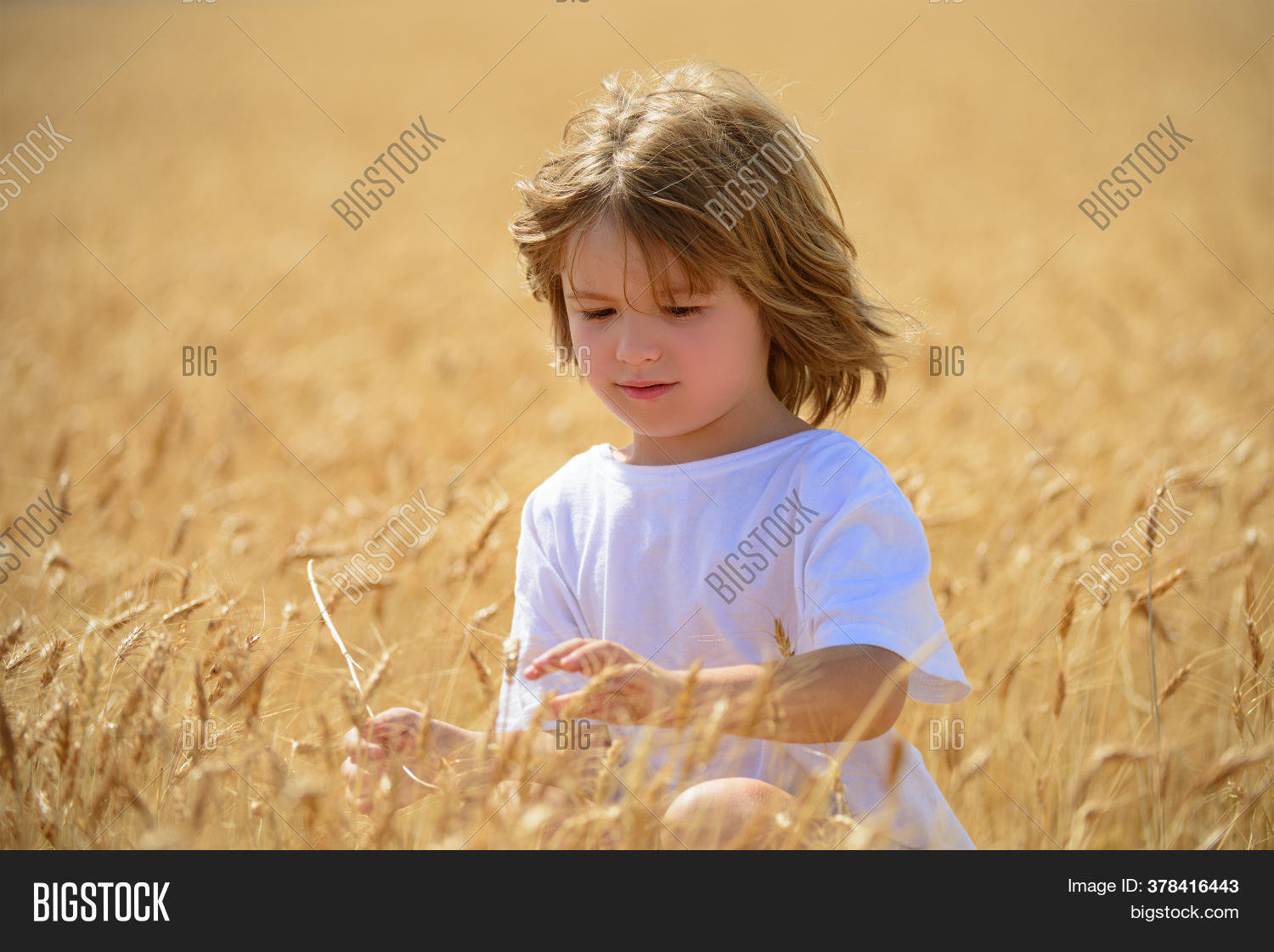 Kid Wheat Field Image & Photo (Free Trial) | Bigstock