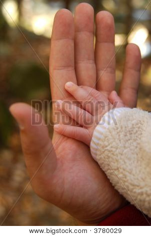 มือ