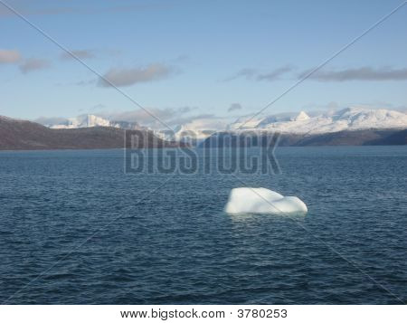 Un Iceberg in crociera