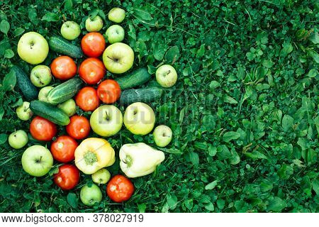 Vegetables, tomatoes, cucumbers, peppers and apples lie on the green grass.