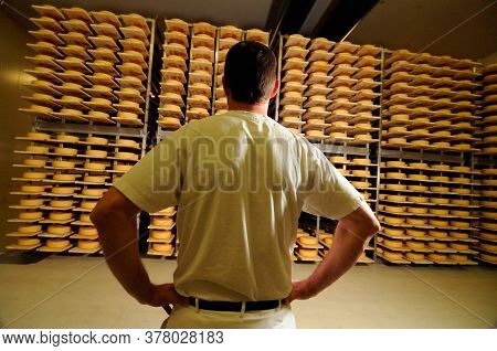 Cheese Maker In Industrial Food Production