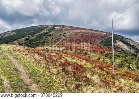 Stoh Hill, Little Fatra, Slovak Republic. Springtime Scene. Beauty In Nature. Red Blueberry Bushes.
