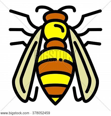 Agression Wasp Icon. Outline Agression Wasp Vector Icon For Web Design Isolated On White Background