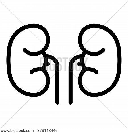 Renal Kidney Icon. Outline Renal Kidney Vector Icon For Web Design Isolated On White Background