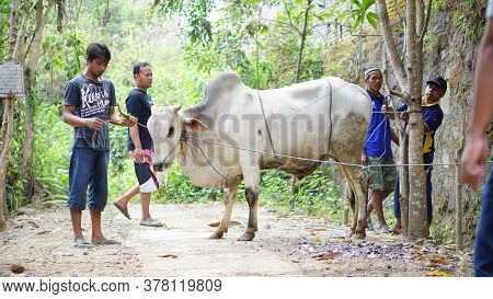 Yogyakarta, Indonesia - August 11th 2019: Eid Al-adha Celebration. Muslim People Help Each Other In 