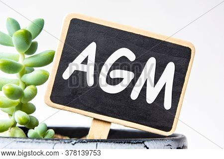 Small Black Chalk Board In A Pot With Succulents Inscribed In White Letters Agm. Business Concept, S