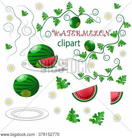 Clipart With Juicy Watermelon, Slices, Leaves, Plate