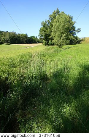 Overgrown Watercourse In Heckengäu Near Weissach In The Sunshine
