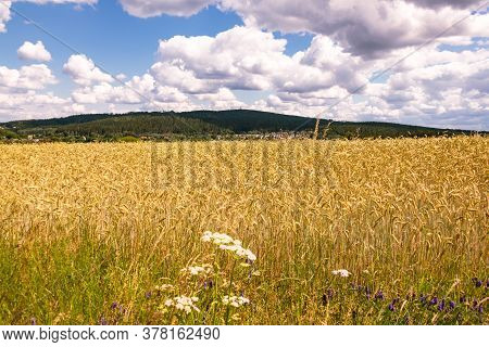 The Wooden Ridge Of Kornberg In Franconia