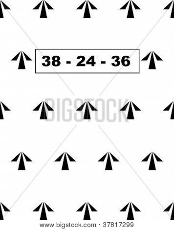 Prison Arrows 38-24-36