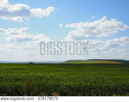 Wheat Green Field And Beautiful Countryside Scener
