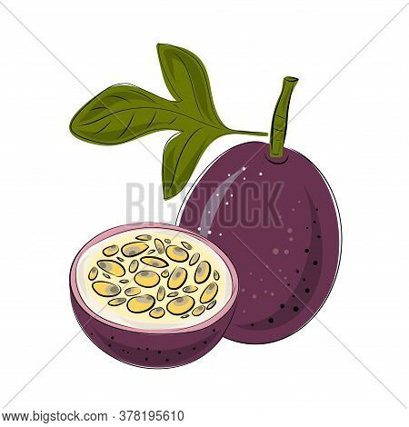 Vector Set Of Passion Fruit, Passionfruit, Maracuya Purple Colors. Whole And Cut Pieces On A White B