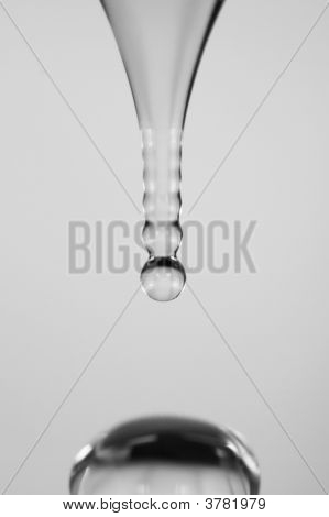 Drip Drop