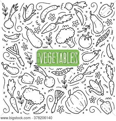 Hand Drawn Set Of Vegetable Elements, Carrot, Salad, Tomato, Onion, Lettuce, Chili. Comic Doodle Ske
