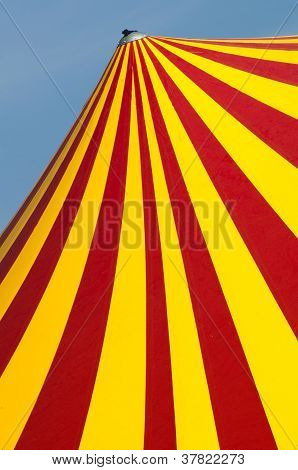 Cirkus Dome