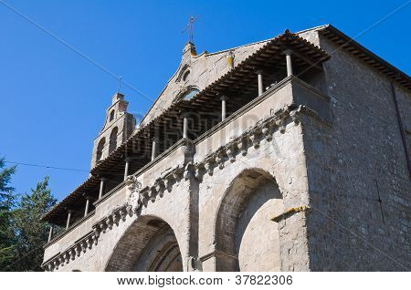 Basilica of St. Flaviano. Montefiascone. Lazio. Italien.