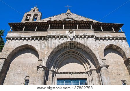 Basilica of St. Flaviano. Montefiascone. Lazio. Italien.